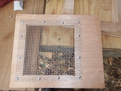 クリアランス通販売 日本蜜蜂　重箱式巣箱　ステンレス製網付き底板 その他