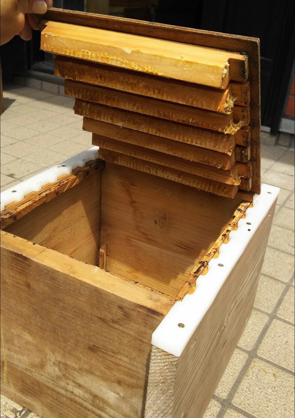 巣枠式巣箱に日本蜜蜂が入居しましたがまだ巣枠を入れていません。巣枠 